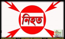 শেরপুরে আবারও বন্যহাতির আক্রমনে বৃদ্ধা নিহত