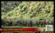 শেরপুরে বন্যহাতির আক্রমনে নিহত ৩